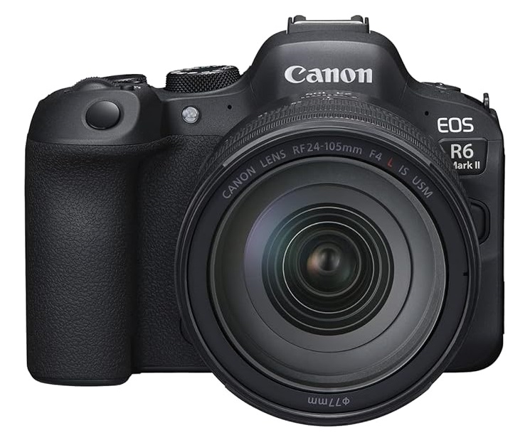 canon battery for eos r6 mark II camera